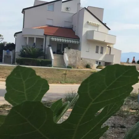 Riva Apartman Povljana