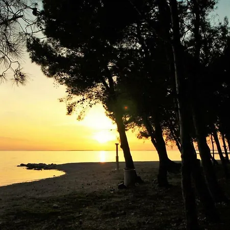 Apartman Riva *