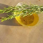 Riva Povljana